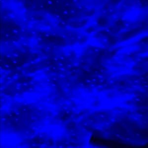 Meet your Posher, Kylie